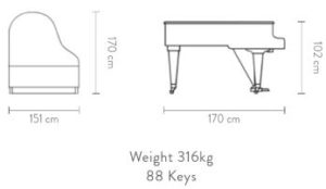 Imagen del contorno piano de cola BÖSENDORFER Grand 170 VC