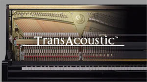 banner TRANSACOUSTIC YAMAHA